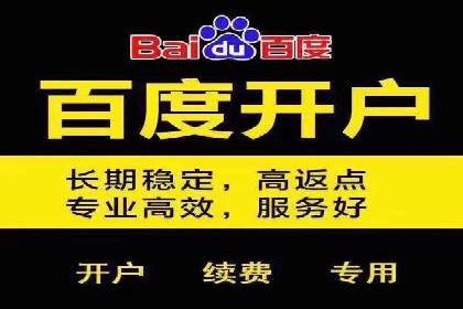 SEM服务案例：提升网站流量